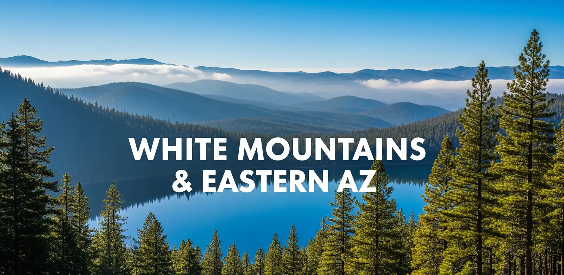 white mountains - eastern az